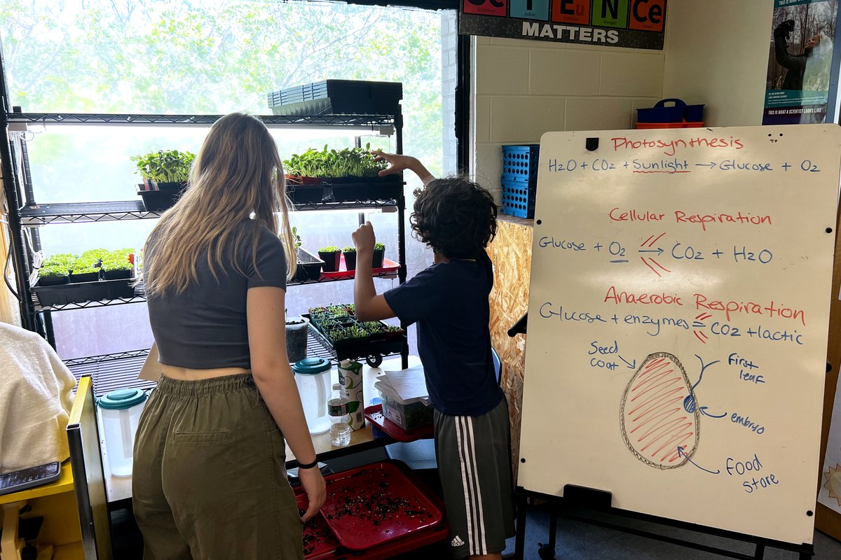 A BYFP facilitator and a student tending the classroom grow lab beside a whiteboard covered in photosynthesis and cellular respiration diagrams
