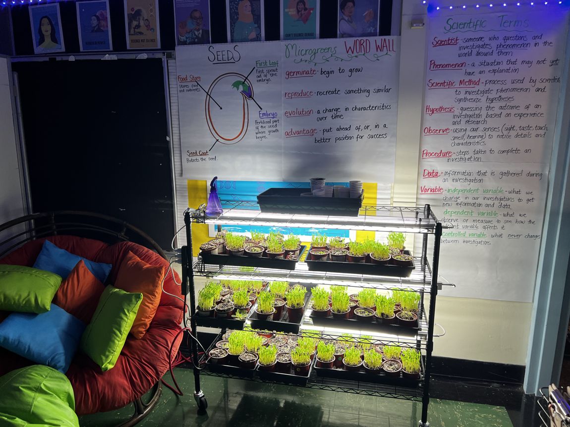 A grow lab in a Boston classroom with student science word walls behind it